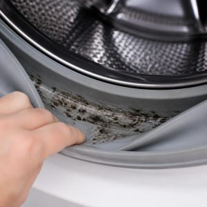 Mold on washing machine door seal — how to clean front load washer gasket